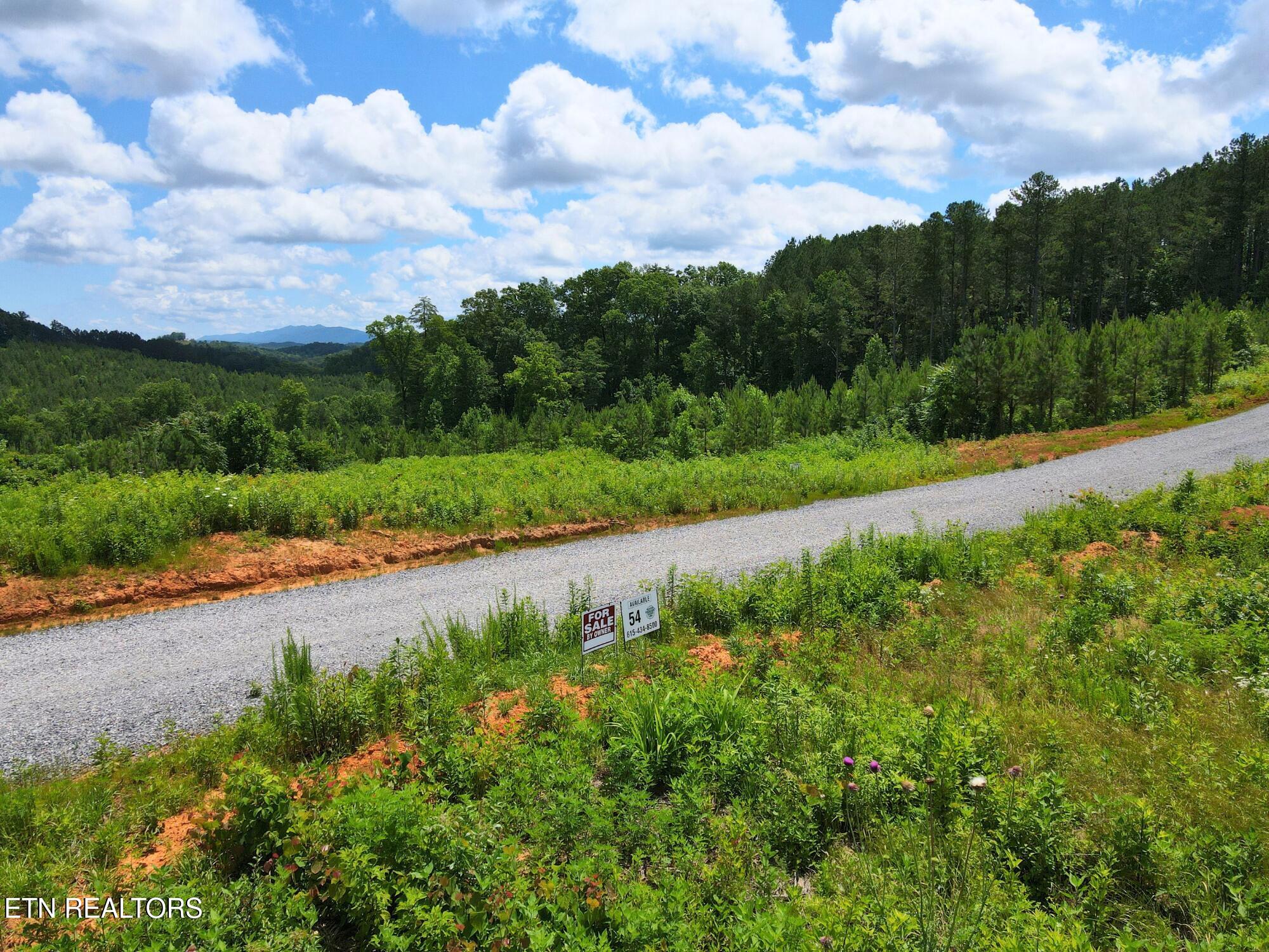 Lot 54 Three Point Road Vonore TN 37885