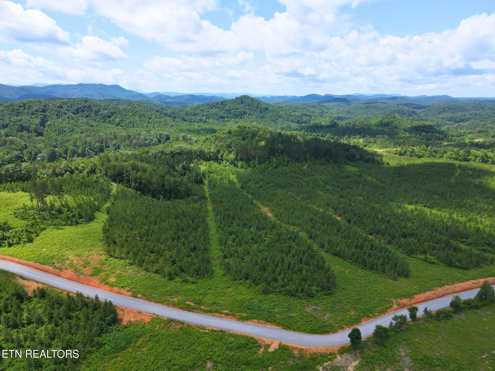 Lot 54 Three Point Road Vonore TN 37885