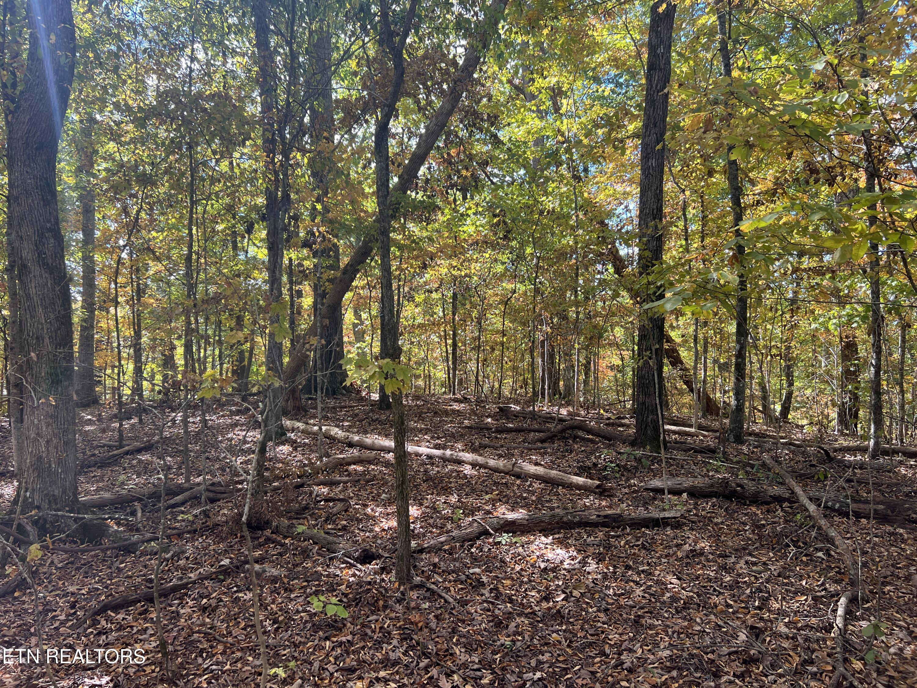 0 Brady Road Newport TN 37821