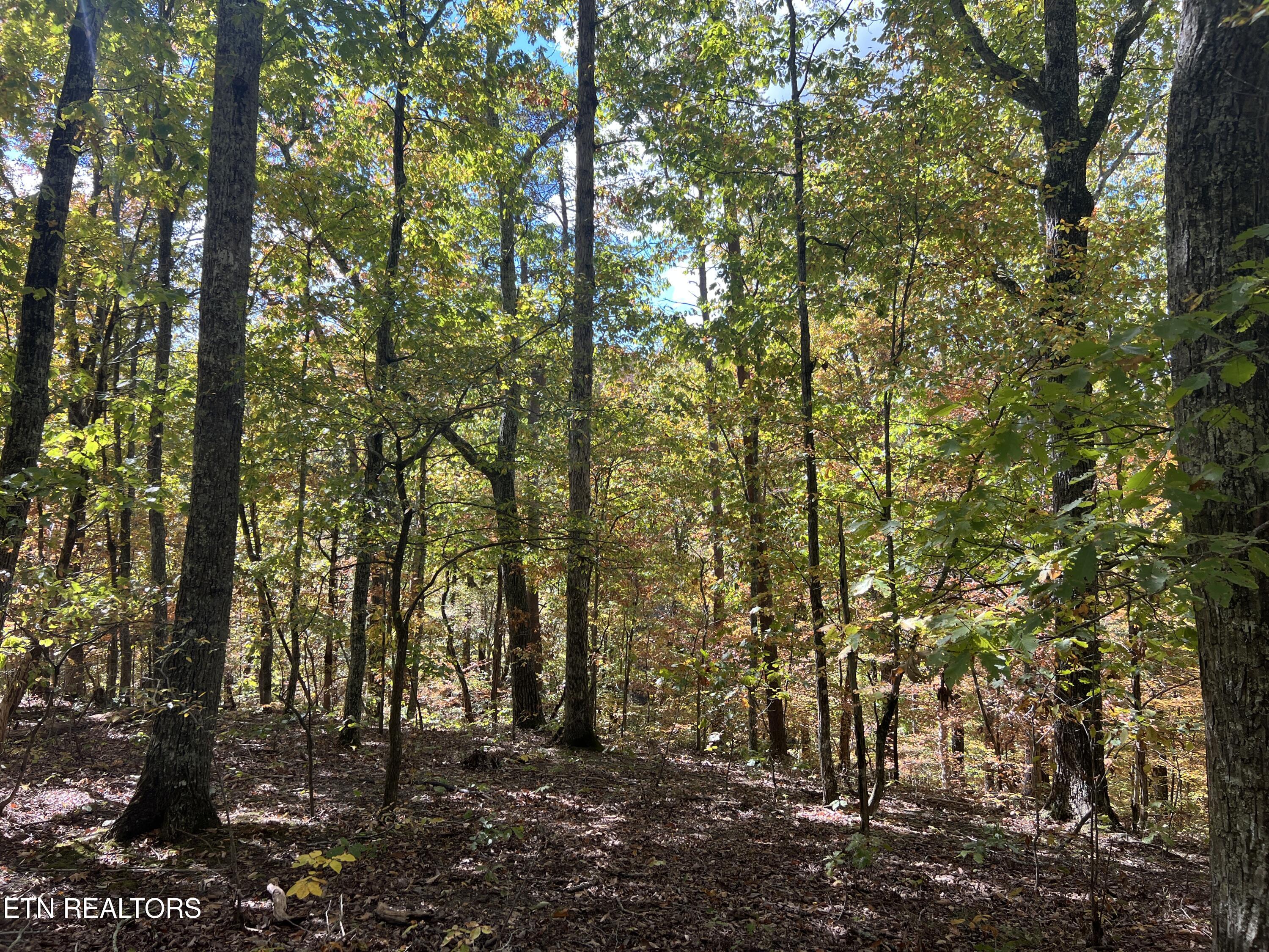 0 Brady Road Newport TN 37821