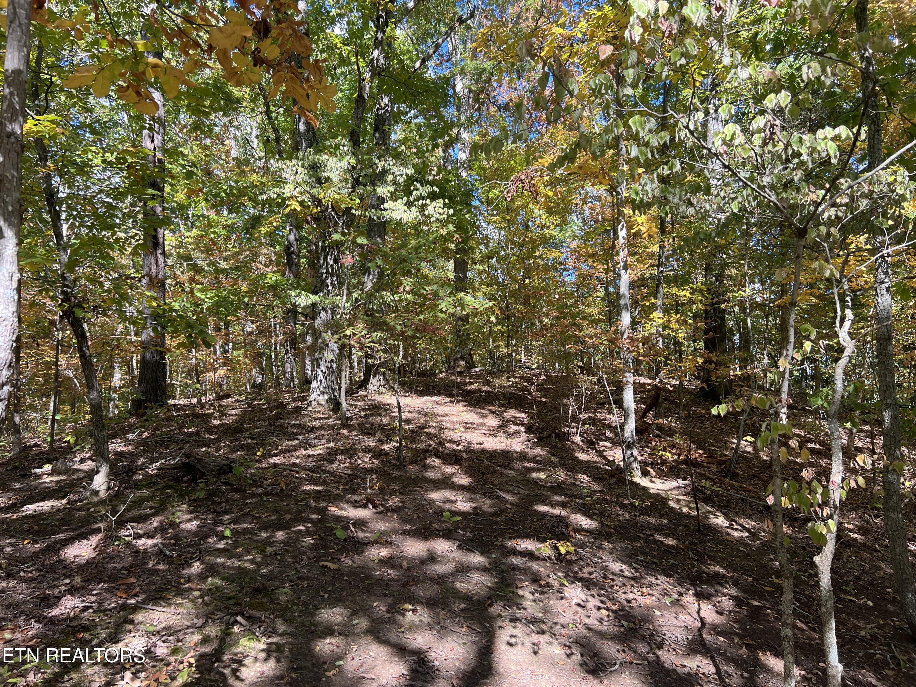 0 Brady Road Newport TN 37821