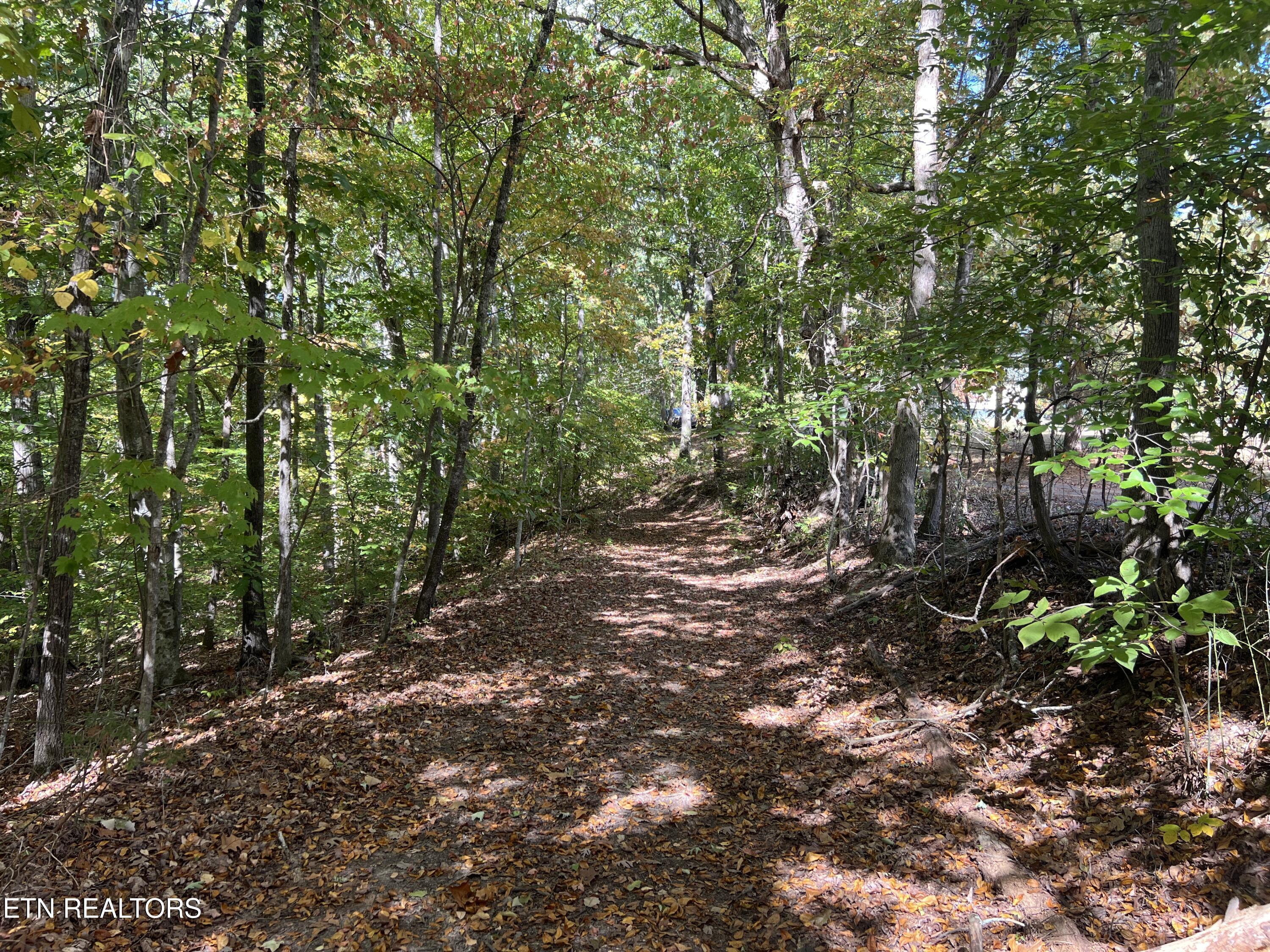 0 Brady Road Newport TN 37821