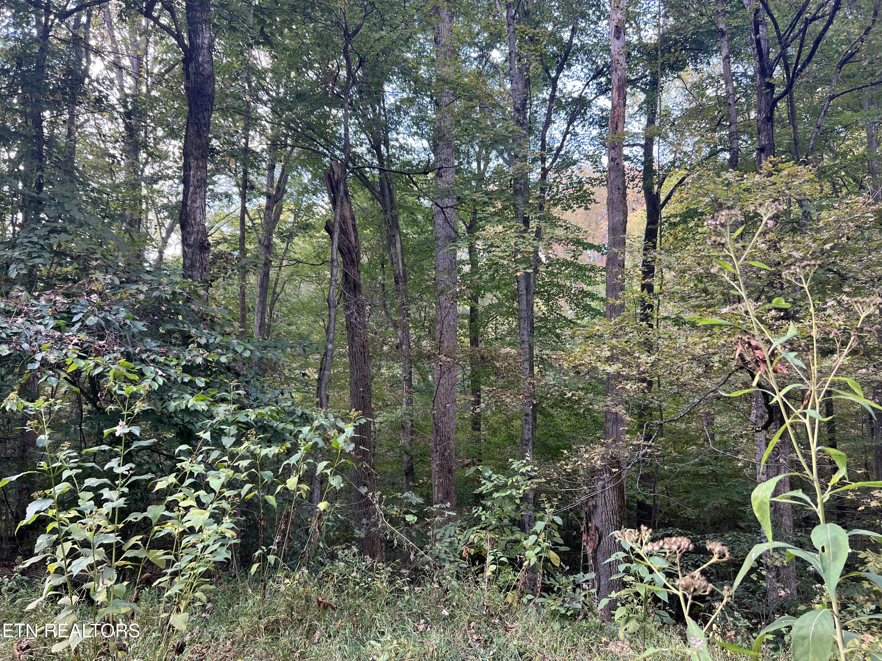 0 Brady Road Newport TN 37821