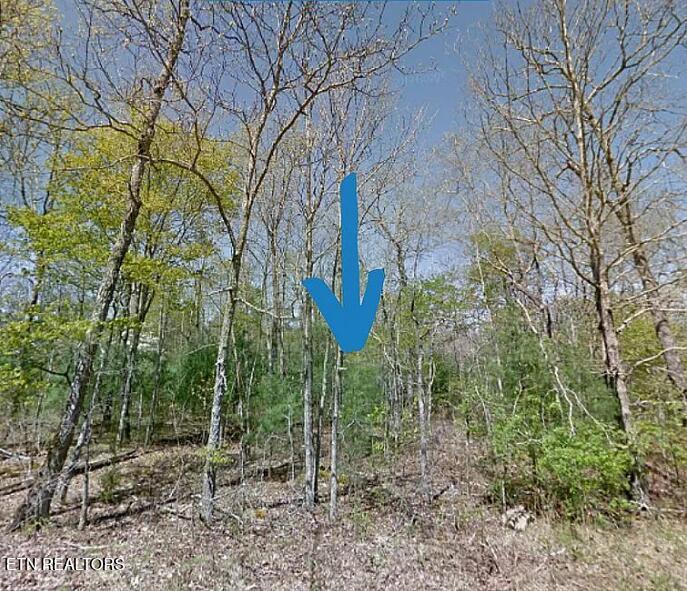 408 Acoma Drive Crossville TN 38572