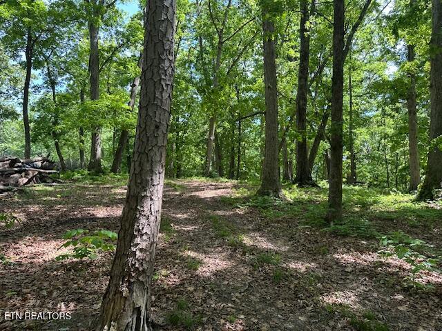 Salem Road Greeneville TN 37743