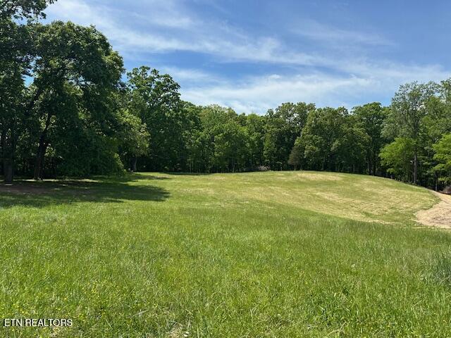 Salem Road Greeneville TN 37743