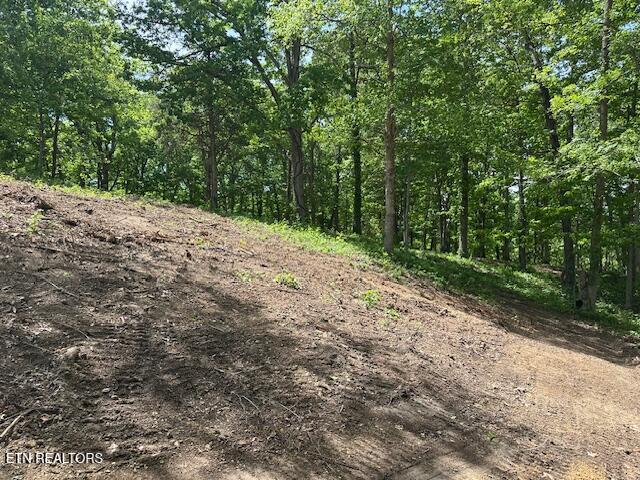 Salem Road Greeneville TN 37743