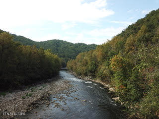 0 Barnes Hollow Road Cosby TN 37722