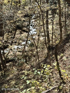 0 Barnes Hollow Road Cosby TN 37722