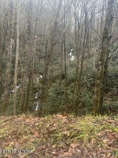 0 Barnes Hollow Road Cosby TN 37722