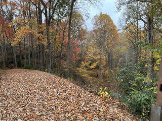 0 Barnes Hollow Road Cosby TN 37722