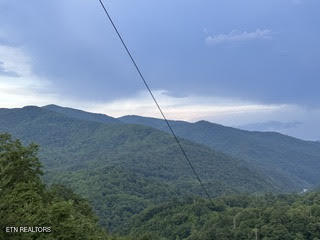0 Barnes Hollow Road Cosby TN 37722