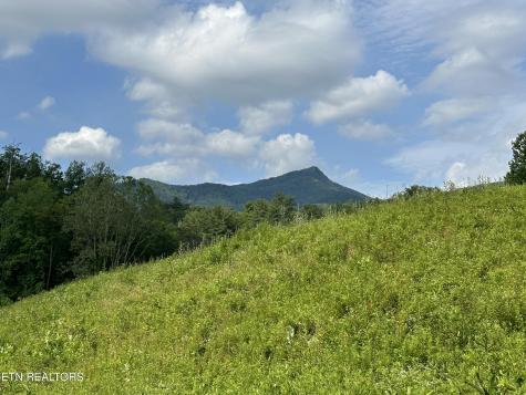 0 Barnes Hollow Road Cosby TN 37722