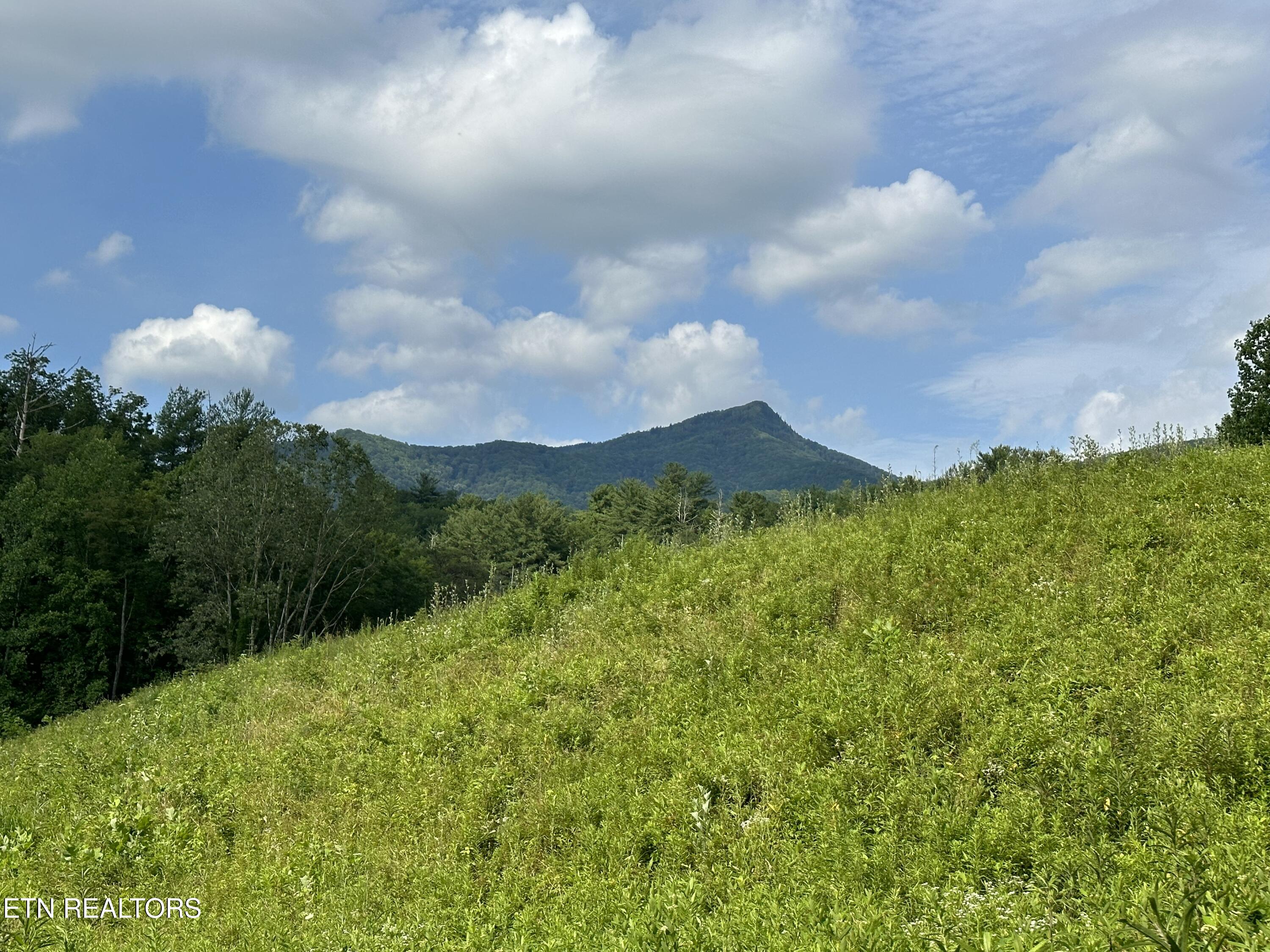 0 Barnes Hollow Road Cosby TN 37722
