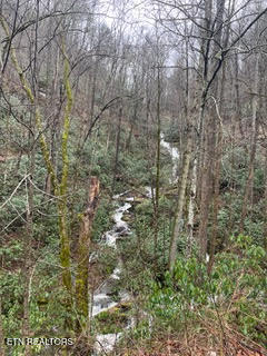 0 Barnes Hollow Road Cosby TN 37722