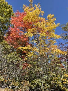 0 Barnes Hollow Road Cosby TN 37722