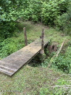 0 Barnes Hollow Road Cosby TN 37722