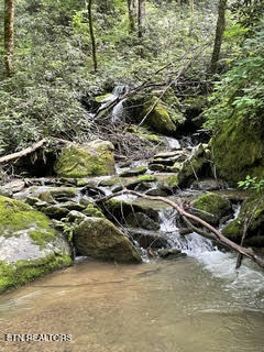 0 Barnes Hollow Road Cosby TN 37722