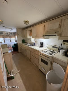 0 Barnes Hollow Road Cosby TN 37722