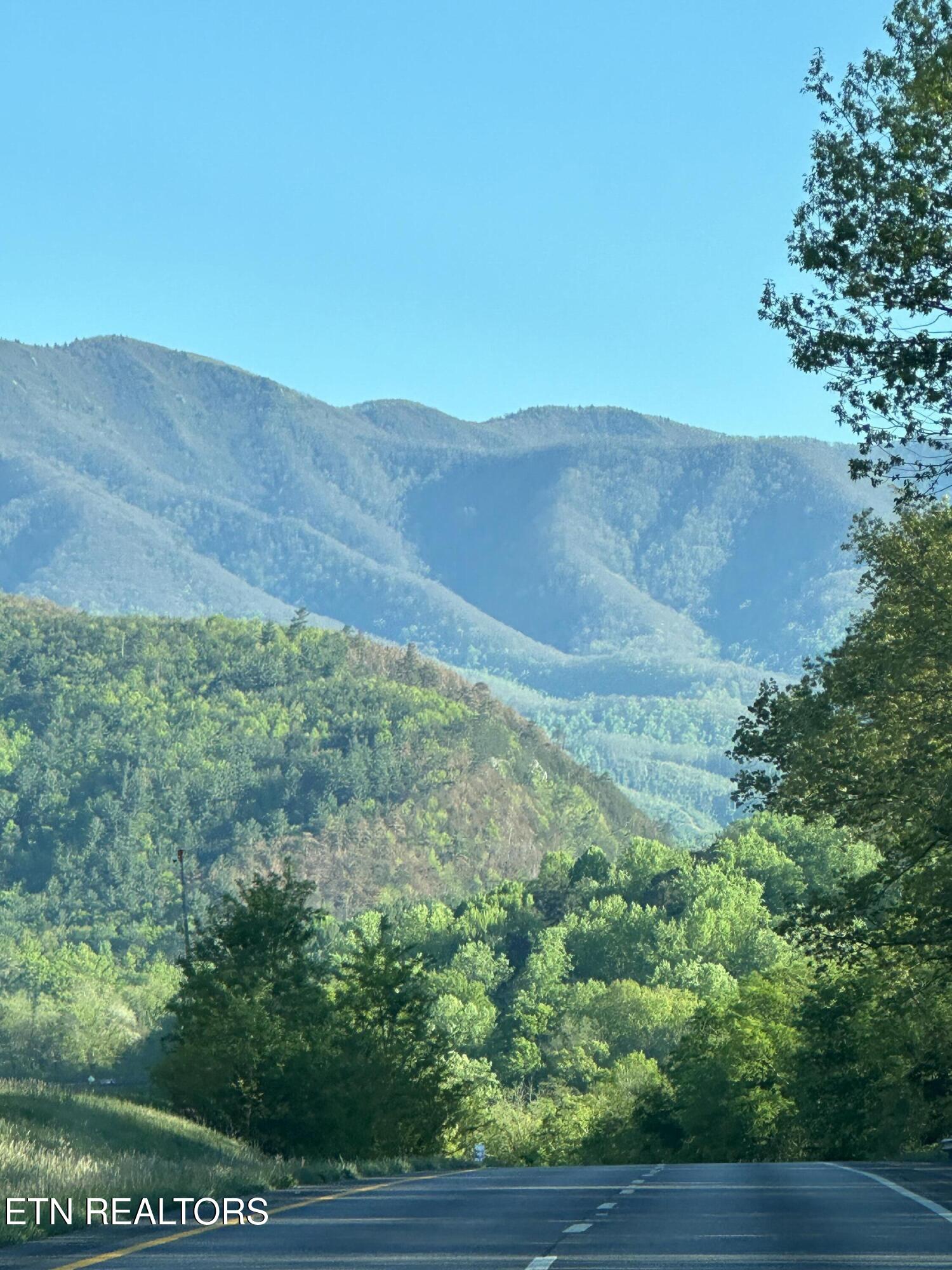 0 Barnes Hollow Road Cosby TN 37722