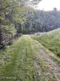 0 Barnes Hollow Road Cosby TN 37722
