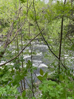 0 Barnes Hollow Road Cosby TN 37722