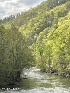 0 Barnes Hollow Road Cosby TN 37722