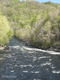 0 Barnes Hollow Road Cosby TN 37722