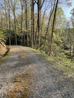 0 Barnes Hollow Road Cosby TN 37722