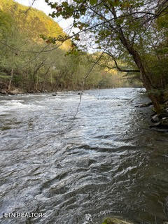 0 Barnes Hollow Road Cosby TN 37722