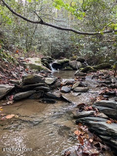 0 Barnes Hollow Road Cosby TN 37722