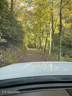 0 Barnes Hollow Road Cosby TN 37722