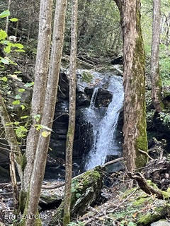 0 Barnes Hollow Road Cosby TN 37722