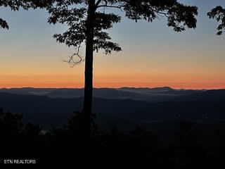 0 Barnes Hollow Road Cosby TN 37722