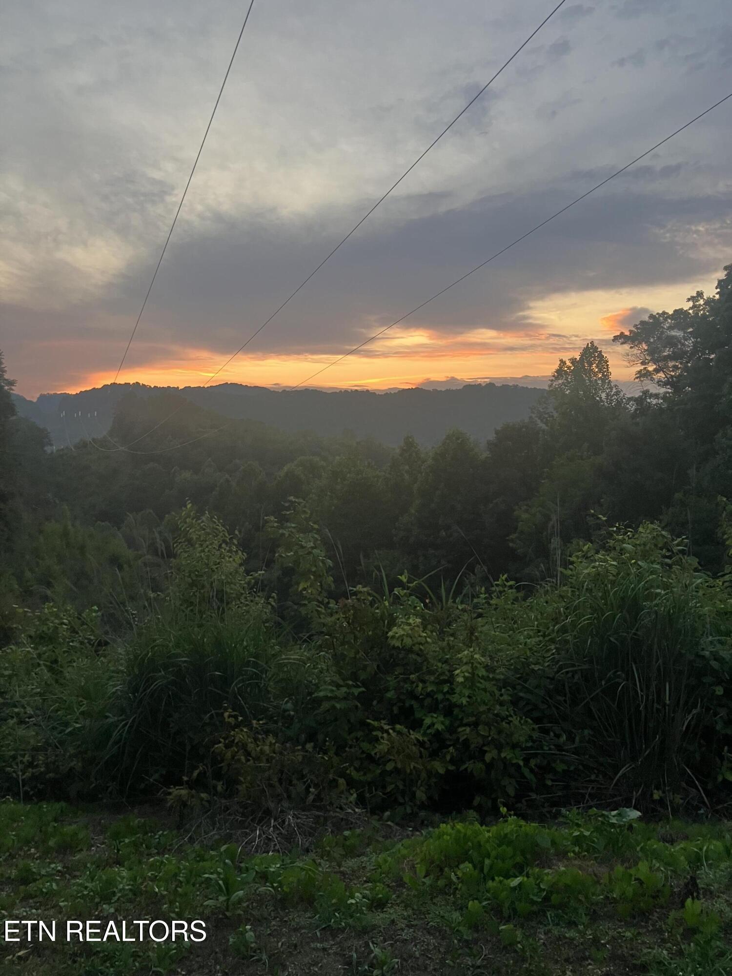 0 Barnes Hollow Road Cosby TN 37722