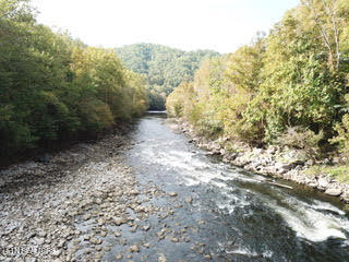 0 Barnes Hollow Road Cosby TN 37722