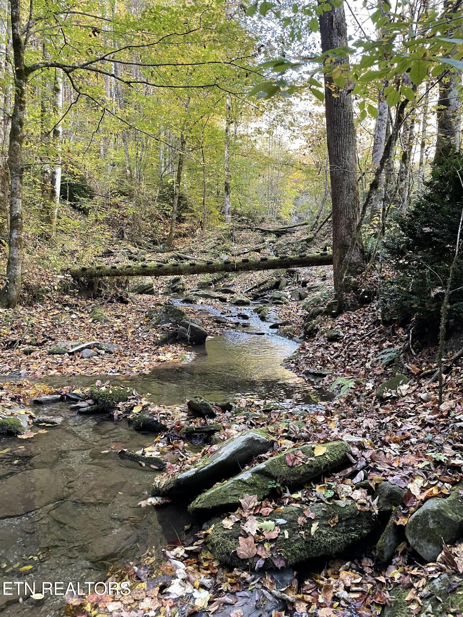 0 Barnes Hollow Road Cosby TN 37722