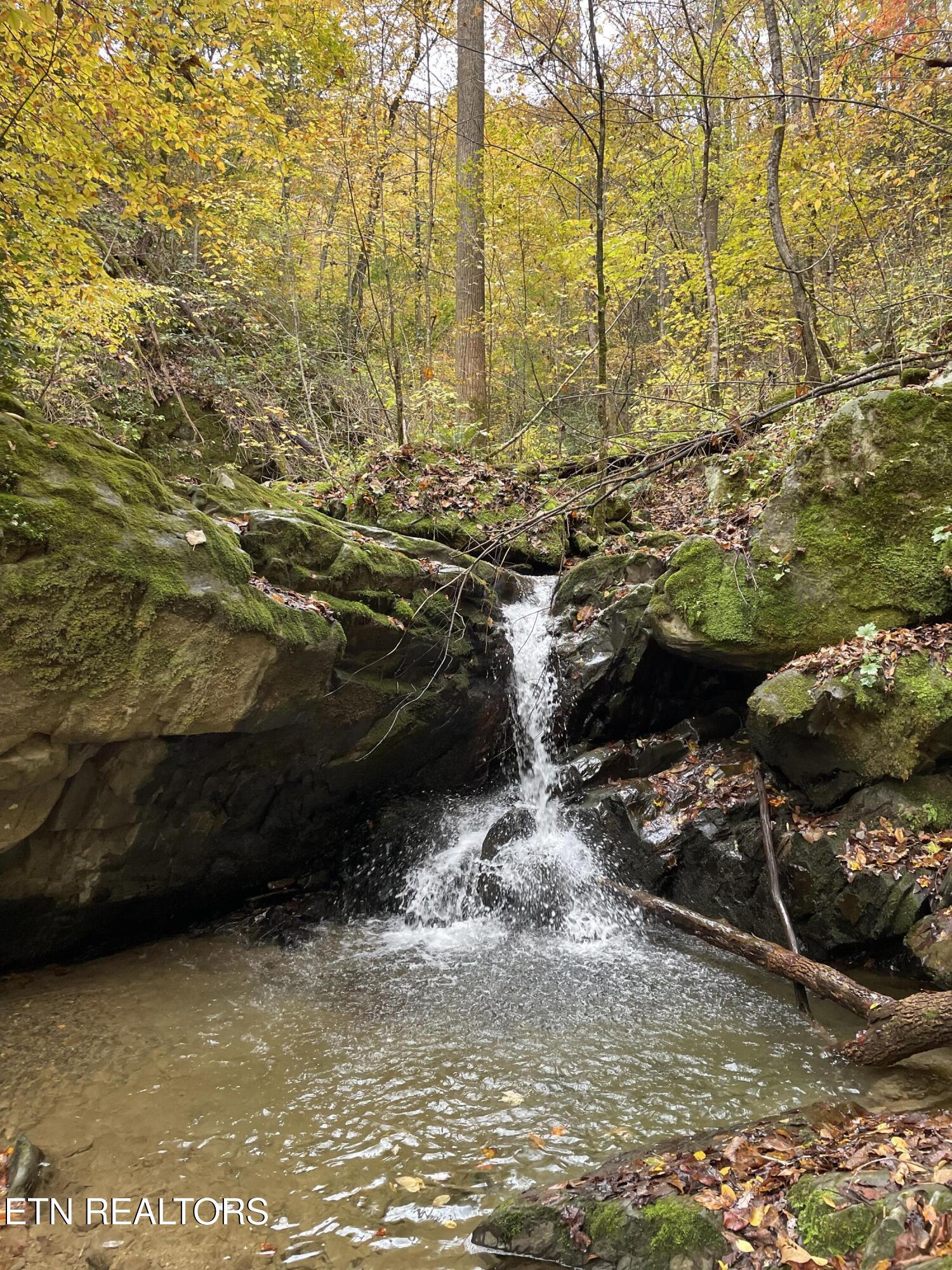 0 Barnes Hollow Road Cosby TN 37722