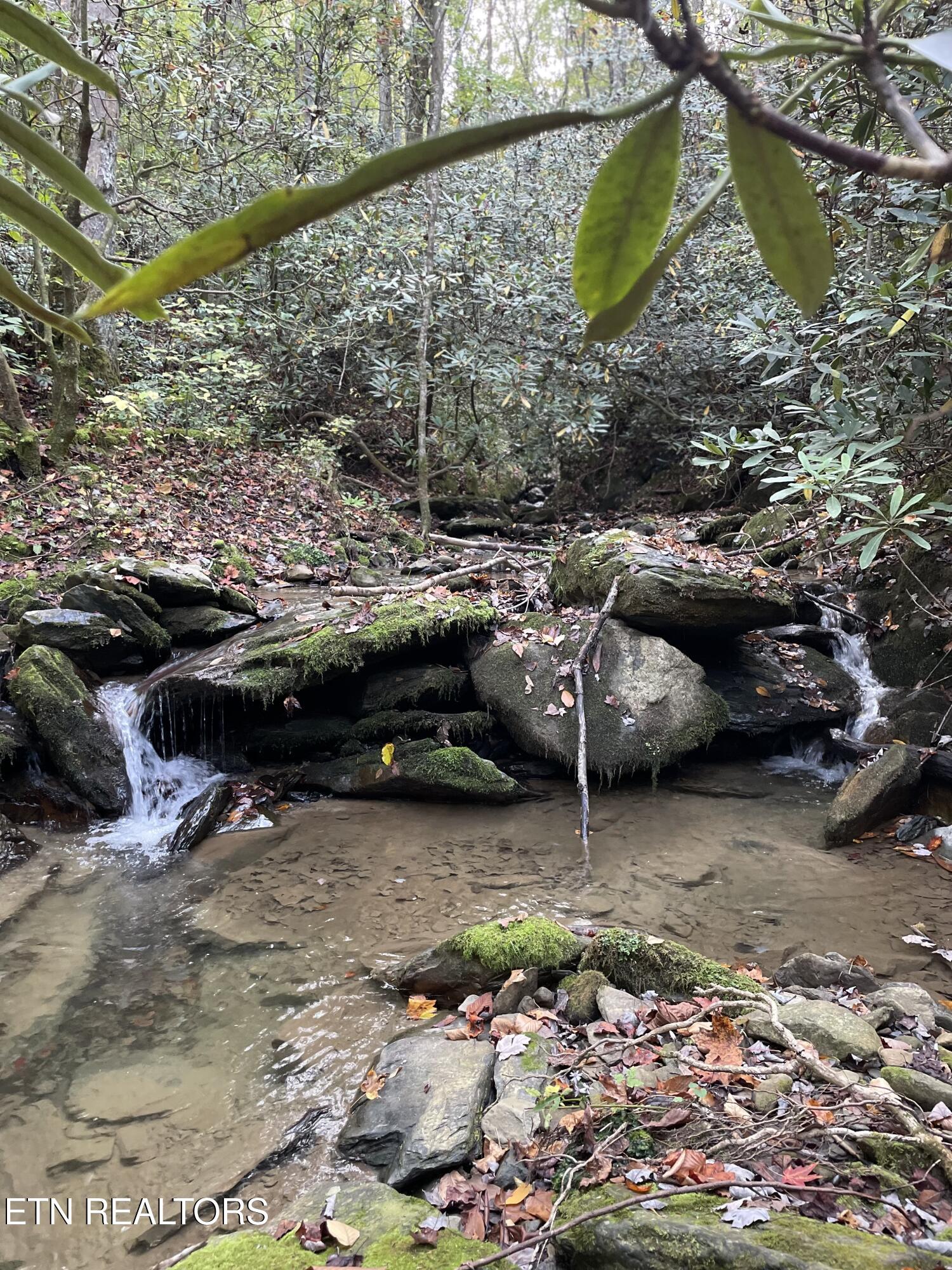 0 Barnes Hollow Road Cosby TN 37722