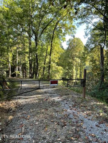 0 Barnes Hollow Road Cosby TN 37722