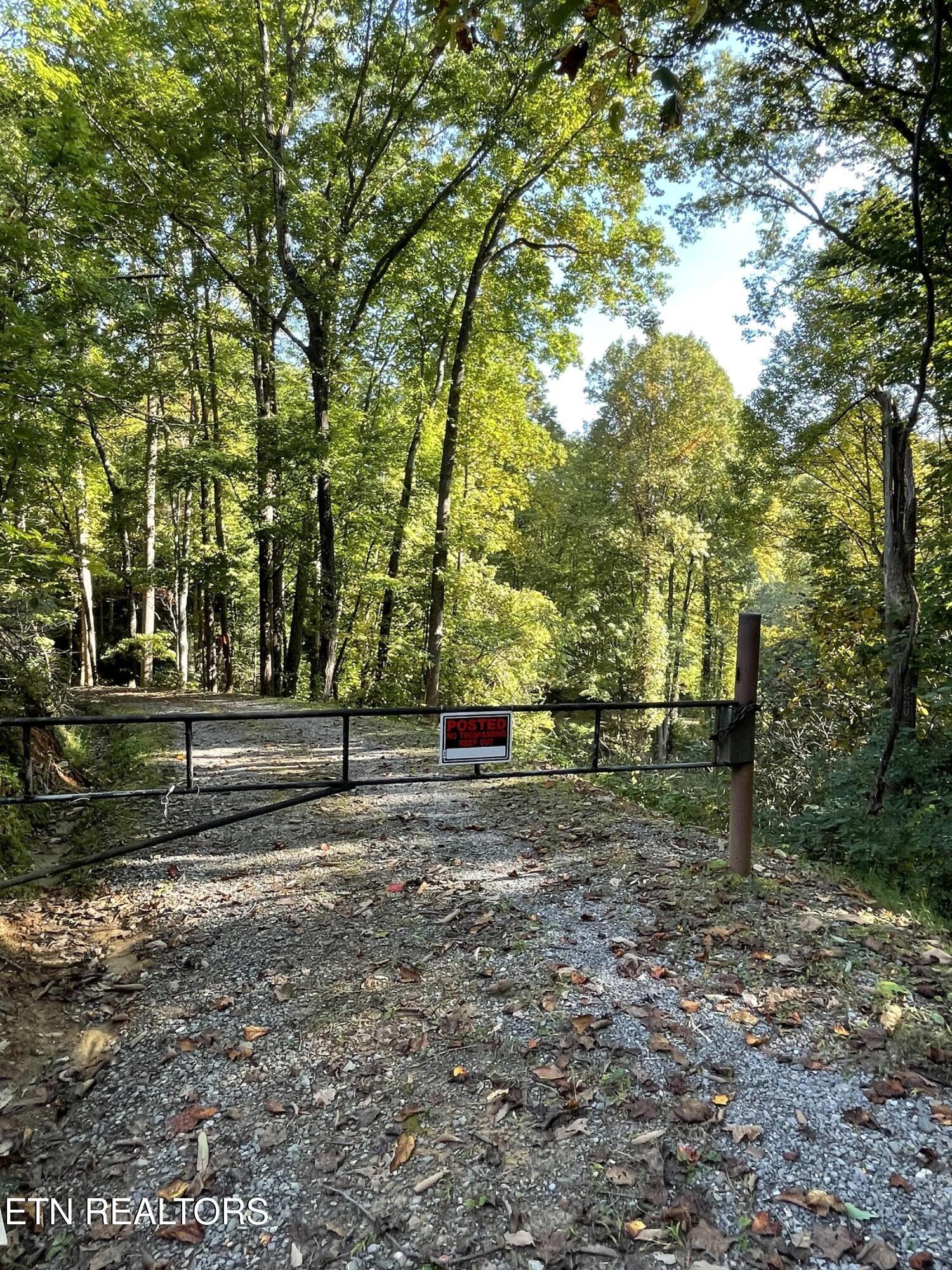 0 Barnes Hollow Road Cosby TN 37722