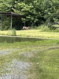 0 Barnes Hollow Road Cosby TN 37722