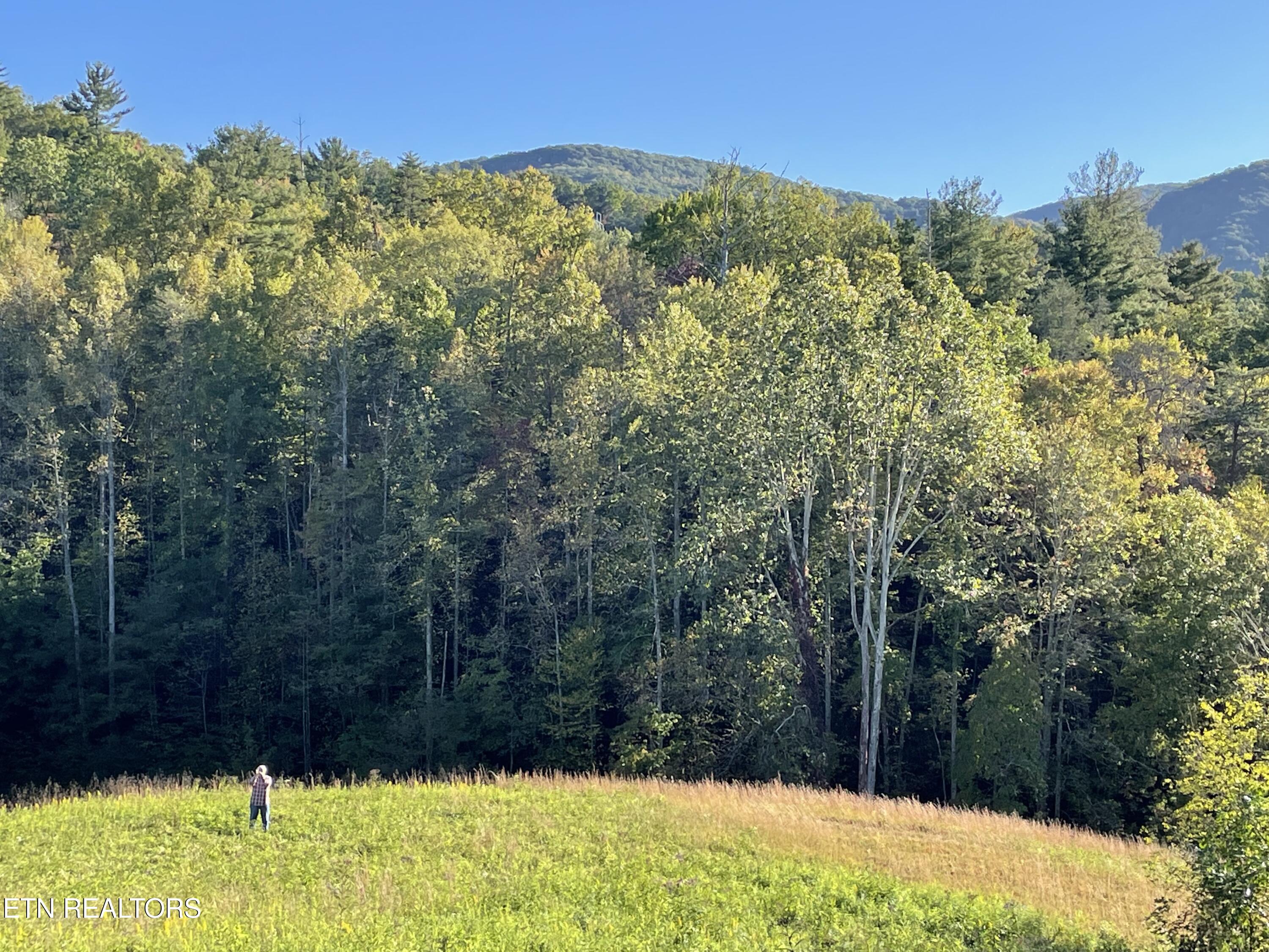 0 Barnes Hollow Road Cosby TN 37722