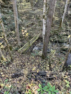 0 Barnes Hollow Road Cosby TN 37722