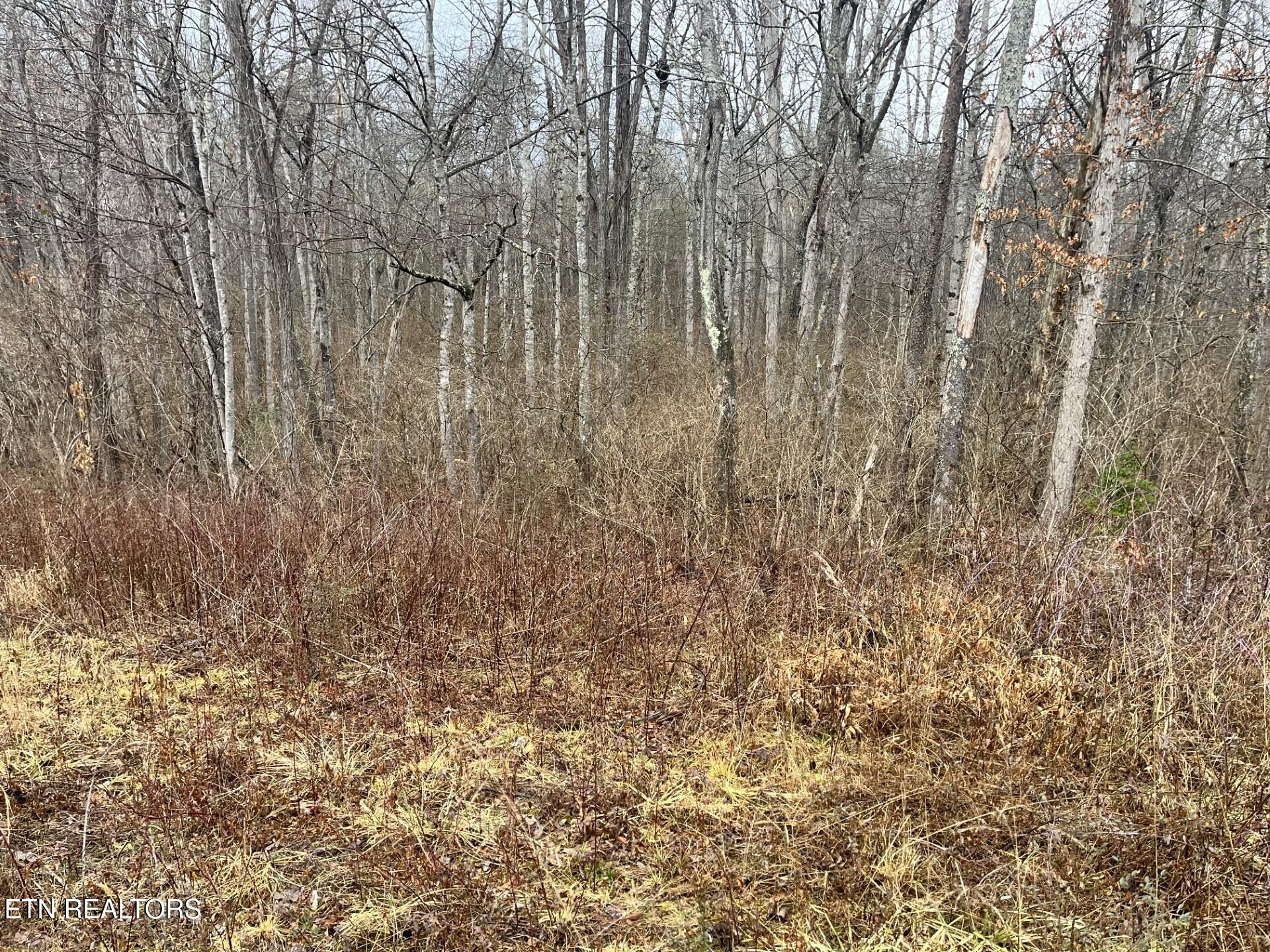 South Main Street - 31 Acres Crossville TN 38555