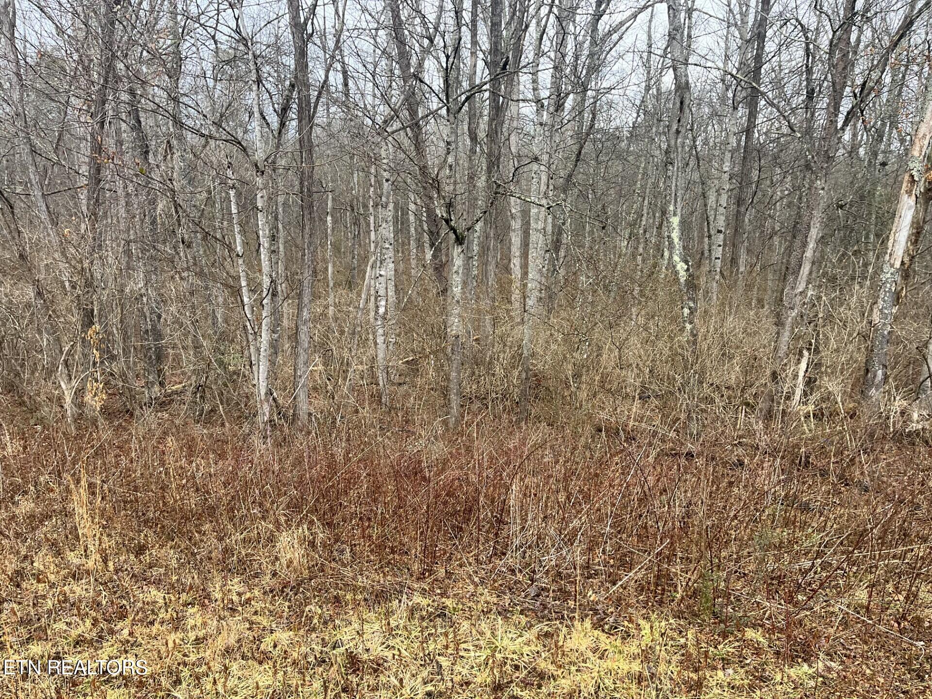 South Main Street - 31 Acres Crossville TN 38555