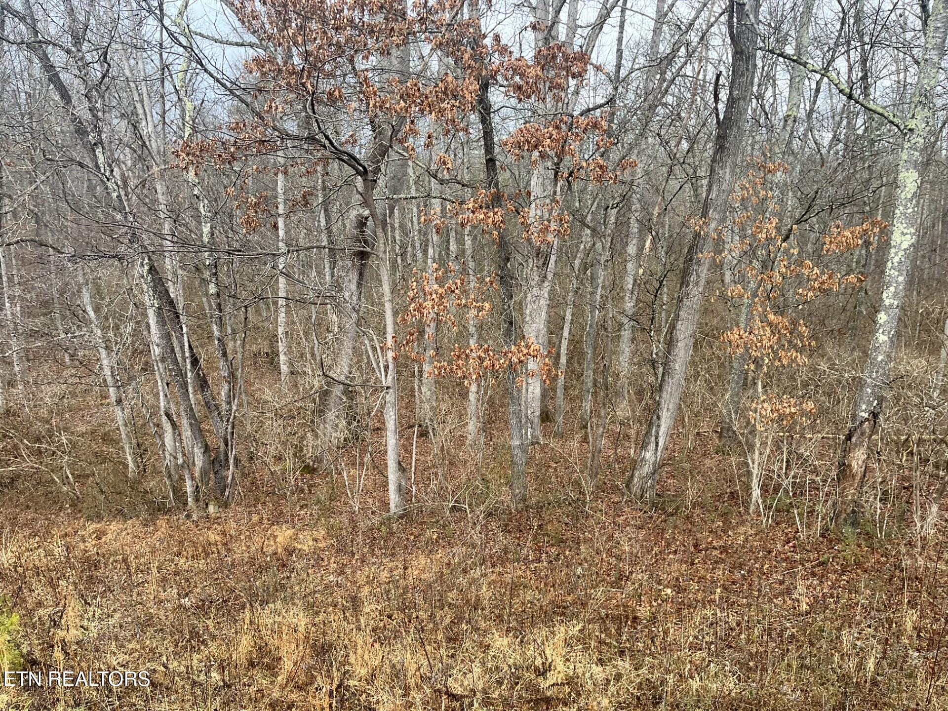 South Main Street - 31 Acres Crossville TN 38555