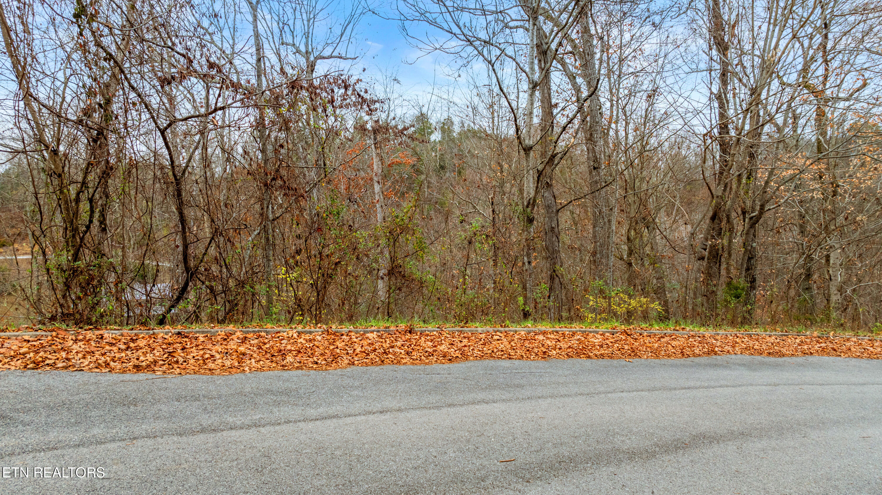 Lot 22 Penelope Lane Sevierville TN 37876