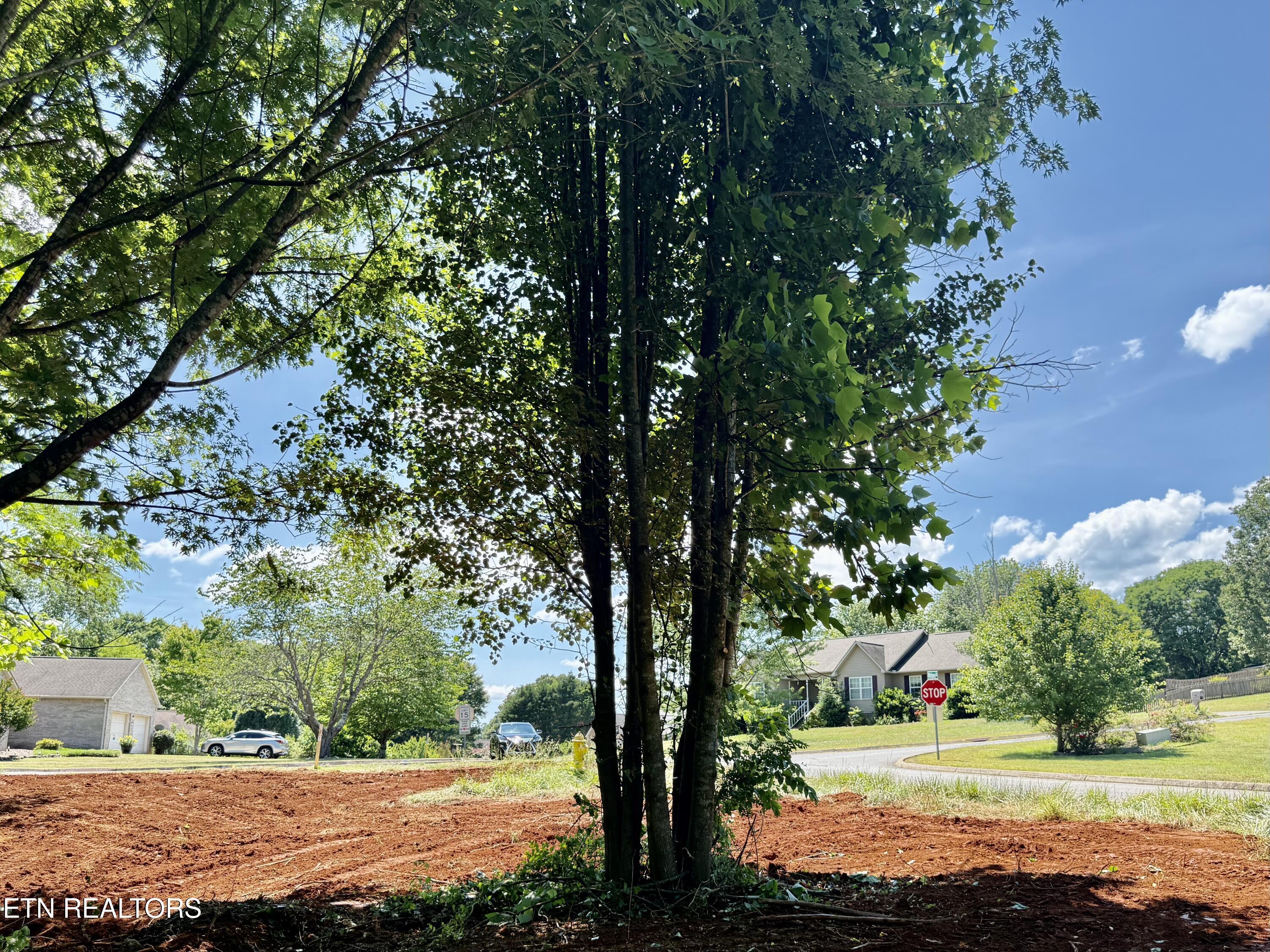 305 Oakwood Estates Drive Lenoir City TN 37772