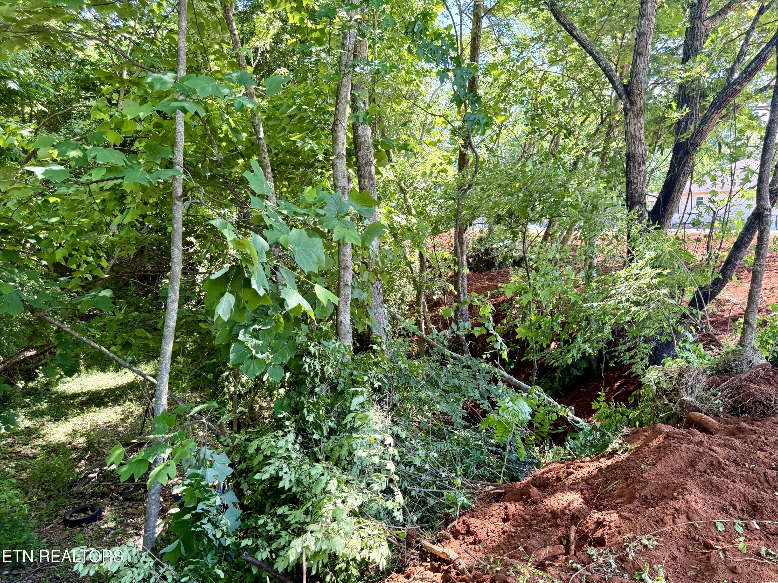 305 Oakwood Estates Drive Lenoir City TN 37772